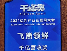 2022亿邦动力产业互联网大会"千亿营收”奖项