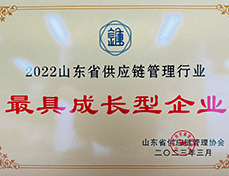 2022山东省供应链管理行业最具成长型企业